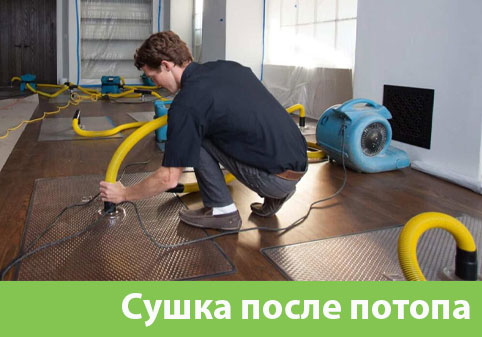 Сушка после потопа в городе Петрозаводск